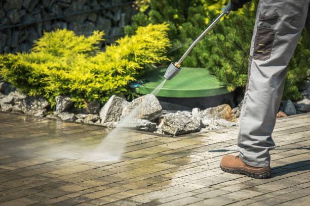 Best Sidewalk and Walkway Cleaning  in Martindale, TX