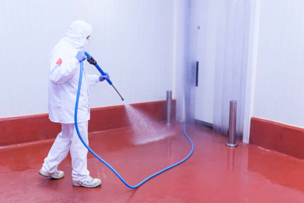Best Boat and Dock Cleaning  in Martindale, TX